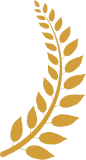 apdovanojimas