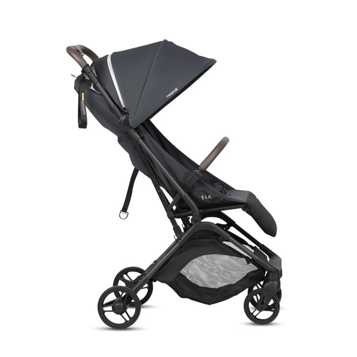 PNG_Sia_601_704x704 (1)