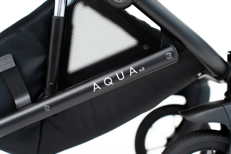 Aqua detail on the frame