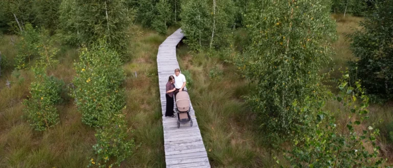 Pram Suspension Explained: Why It Matters on Forest Paths and Cobbles