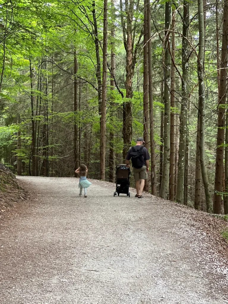 Father and child on a forest trail with Sia
